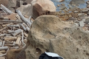 GIORNATE ECOLOGICHE – CLEAN SEA – 2021 ISOLA DEL GIGLIO