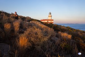 Isola di Giannutri – Gita al Faro